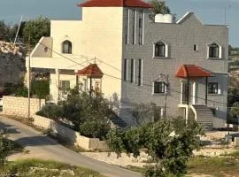 Pasha's house