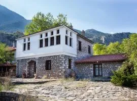260m2 Unique mountain house in Lilea Parnasos