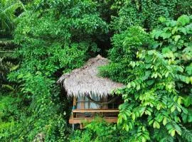 TheJungleGuide - Lodges & Treks