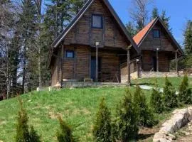 Nest&Rest-Vikendice Tara 2