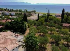 Villa Conel