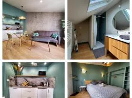 Saint Jean - Le Marais - T2 tout neuf