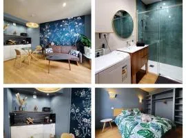 Saint Jean - La Rivière- T2 tout neuf