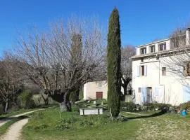Studio Bas Verdon