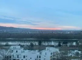 Flying Vienna