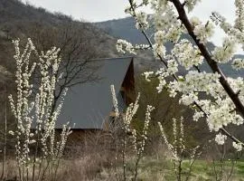 Samshvilde Hideaway