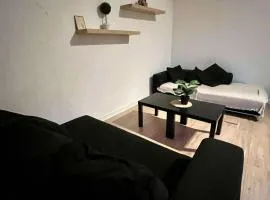 Lumineux flat - Quartier Louise