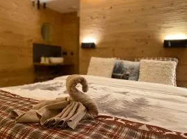 La Roanneuse - Cosy Chalet