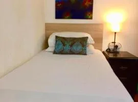 Nice single room with beautiful nature