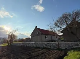 Bodenik