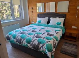 Apartment B5 5 Relax Chamkoria Borovets, hotel con piscina a Borovets