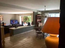 Luxury house