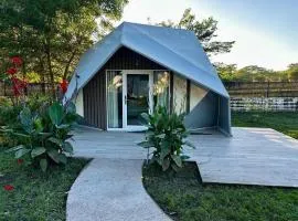 Pacific Glamp
