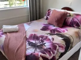 Horseinaround
