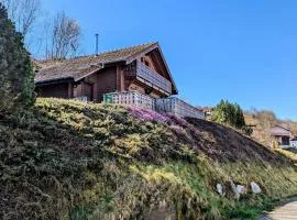 Chalet cosy à La Bresse avec WIFI et parking, proche pistes - FR-1-589-310