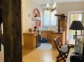 Appartement au cœur de Mirepoix avec climatisation