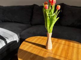 apartmán Nataly, hotel in Veľký Krtíš