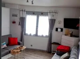 Appartement hyper centre ville,5pers 'le maloudgja' vue sur le sancy