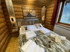 LE GRAND CERF Chalet en rondins avec SPA Jacuzzi