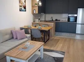 Apartman Pavle
