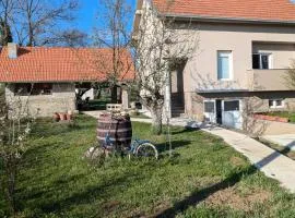Vila Restart Čortanovci