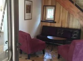 Belle maison au coeur de Beaune avec piscine privée, Cabotte Dionysos