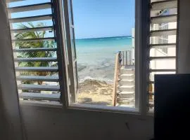Evelins on the beach