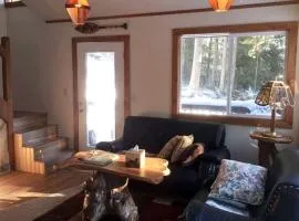 Cozy Forest Cabin for Eight Guests near Olympic National Park in Washington