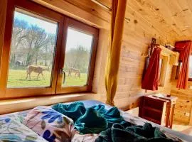 Baie Normandie Cottage Tiny House,40min Mt St Michel 30min Mer Draps Serviettes