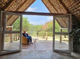 Shamba Pori Lodge