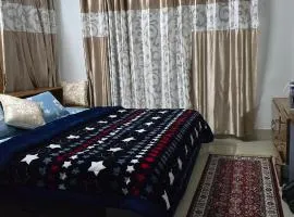 Myodi-Yasi Homestay Rake Ziro 5 mnts walk from Airport