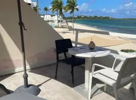 Charmant studio sur la plage des Caraibes
