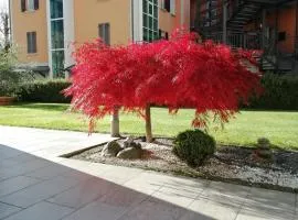 APPARTAMENTO ACERO - 2 min walk to Bernina Express