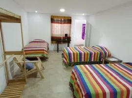 Iguana Coliving