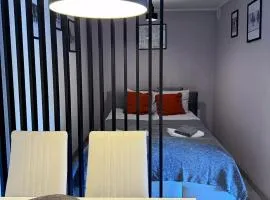 Apartament Dzikowiec