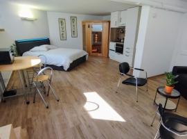 Studio 40 m2 avec sauna proche de Strasbourg, hotel di Mittelhausbergen