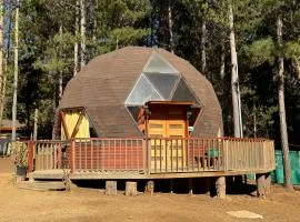 Bosque Domo II
