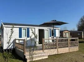 Figaro - Gasselte, Drenthe