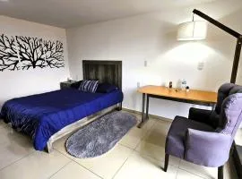C3 EXECUTIVE SUITES at ITESM CEM Families Tourists & Travelers Choice Foreign Students Companies Executives WELCOME!!! 10min Izcalli-15min Esmeralda-20min Sátelite-25min AIFA