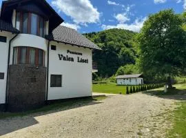 Pensiunea VALEA LISEI