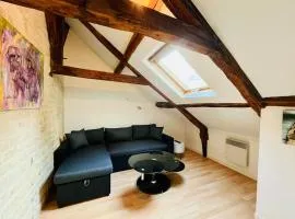 Logement charmant cosy central