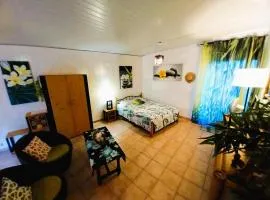 TAHITI - Erima POOL Studio