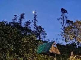 La cabaña del Búho
