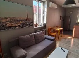 Apartament Gliwice Centrum plus Parking