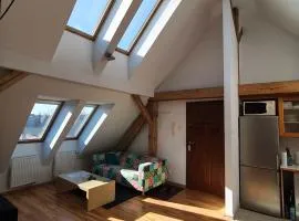 Apartament Gliwice Centrum