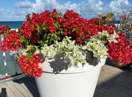 Ocean Garden Studio I