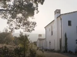 Exquisite luxury executive cottages