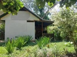 JARDIN DE LAS MUSAS