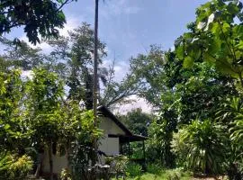 JARDIN DE LAS MUSAS