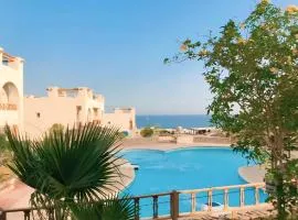 Dahab Dolphin